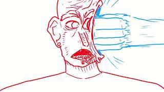 Smash The Face - Animation - Sakuga Practice