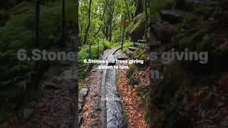 Incredible miracles of prophet Mohammad(saw)#yutubeshorts#fyp#foryou#shortsfeed