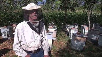 Michael Palmer - Importance of Getting Local Queens