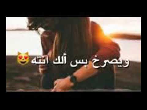 كلبي بس الك دكته الوصف