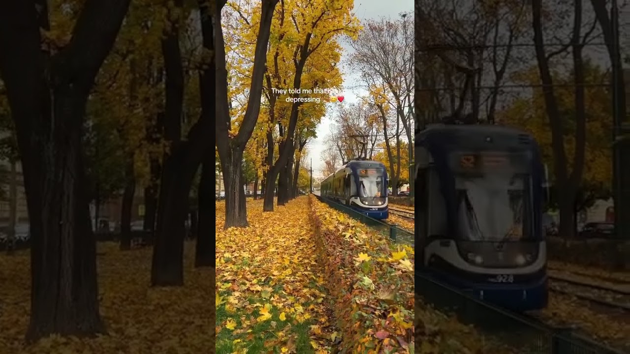 🍂 Autumn in Kraków, Poland | Stunning Fall Colors 