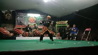 Ppsi kalong emas rancamalang