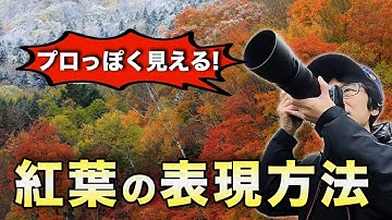 【風景写真】紅葉を作品映えさせる４つのコツ ! !【写真家】