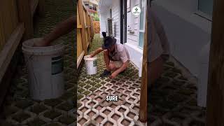 He Turns an Empty Yard Into a Beautiful Green Lawn.