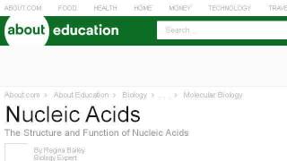 Foods That Contain Nucleic Acids