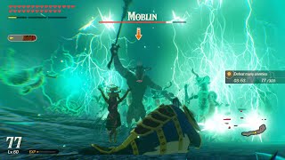 Hyrule Warriors Age Of Calamity - Rijus Moveset Showcase