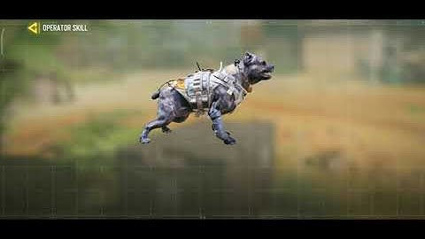 WOW K9 UNIT IN MULTIPLAYER: COD MOBILE 🐕🐕 IMPRESSIVE: STAY TUNED #robot #callofduty #mobile