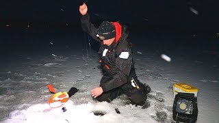 TONS of Walleyes on Tip-Ups... but all SMALL!