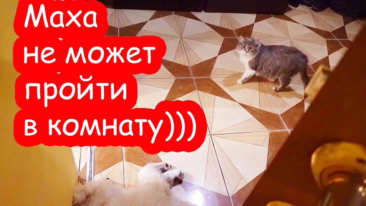 Вредина Лайф Новые Видео 2022 Года Вредина Лайф Новые Видео 2022 Года