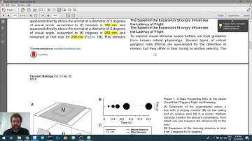 Creating Visual Stimuli in Python 1.2: Creating the python file and filling the stimulus parameters