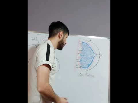 شاهد محاضرة هرمون البرولاكتين الكاملة على قناتنا