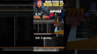 5th Tuesday! |My Moog Sub 25/37 Patches |