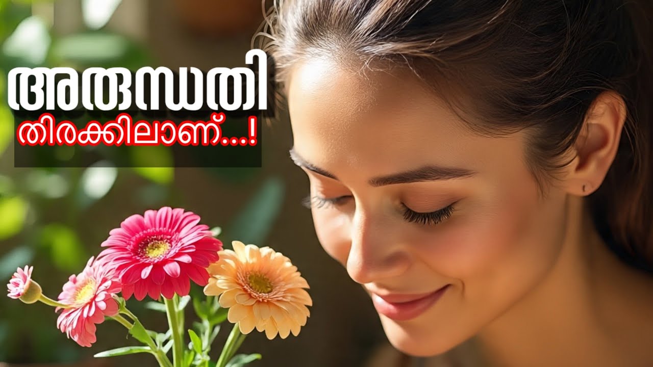 അരുന്ധതി തിരക്കിലാണ് | മോളി സുഭാഷ് | Novel | Malayalam Audiobooks | SH Youtube Area Audiobooks 