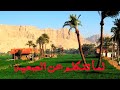 اقوي رد علي ايهانة الصعيد شاعر الصعيد