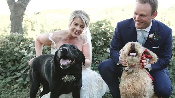 Our Wedding Teaser - Justus & Rachel Foss