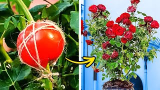 Easy Gardening Tricks Your Plants Will Love