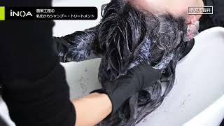 イノアカラー 3.00(エクストラブラウン) 60g 【医薬部外品】の卸・通販