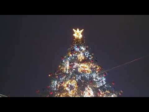 Video: Iluminat Național pentru Pomul de Crăciun