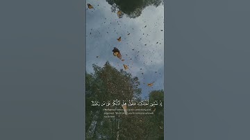 و ألقيتُ عليك محبةً مني | سورة طه | مشاري العفاسي