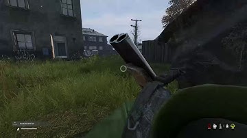 Dayz WORST server restart