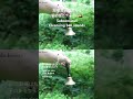 潜在意識を整える鈴とチャイムの音色、BGM 1時間。 subconscious cleansing bell and chime sounds.