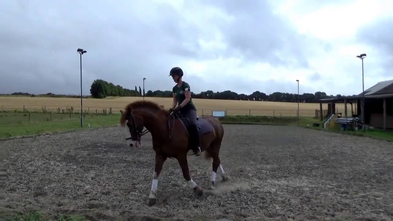 Dressage Anywhere filming technique - YouTube