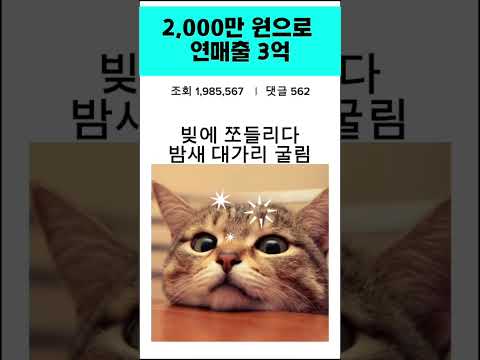 돈 없다고 창업 접냐? 개소리 ㄴ ㄴ #소자본창업 #사업가 #폐업극복 #돈버는꿀팁 #창업꿀팁 #웃긴영상 #창업아이템 #돈되는창업추천 #남자창업