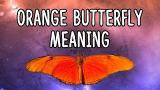 Orange Butterfly Meaning: Is It Lucky Or Unlucky For You? Red Butterfly Meaning