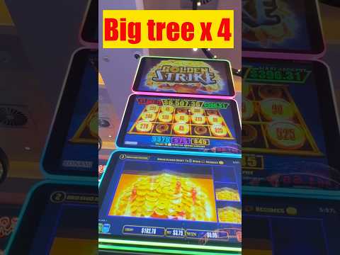 Experience the Thrill of F7 Casino: Play Your Favorite Games in English, Now Available in the United Kingdom