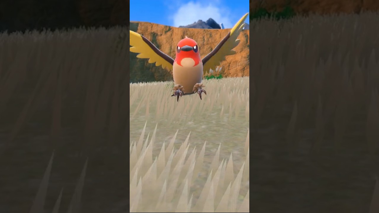 SHINY HUNTING ALL POKÉMON SV! FLETCHLING 