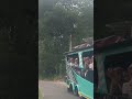 Jalan Jalan di Desa Ketemu odong odong #desa #alam #kampung