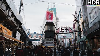 【8K HDR】Shopping Utopia on a budget - Ameyokocho ASMR IMMERSED by City Odyssey 22 views 10 months ago 14 minutes, 16 seconds