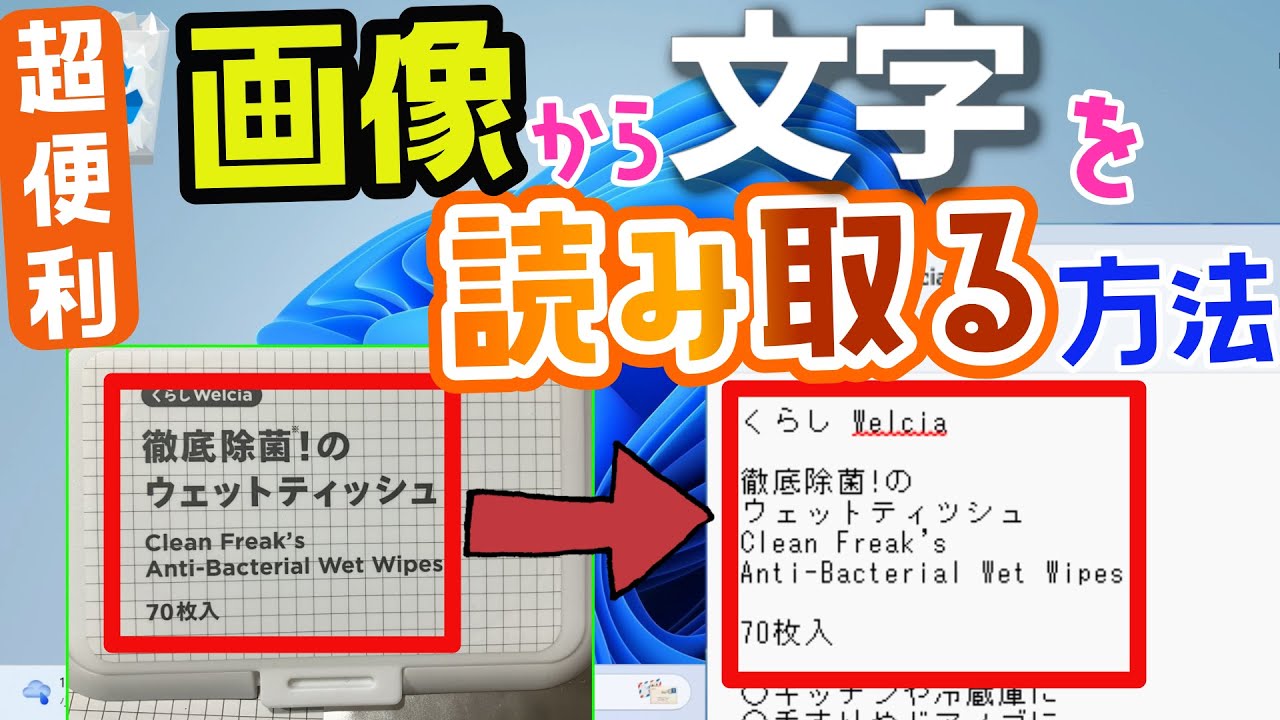Windows 11】画像(写真)から文字を読み取り・テキストに書き出す方法