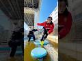 真冬の水上アスレチックに挑戦してみた! #検証 #tiktok #実験 #アスレチック #やってみた #遊び #sasuke #公園 #日常vlog #vlog
