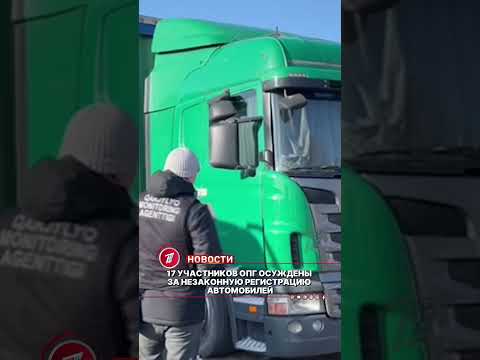 В Алматинской области 17 участников ОПГ осуждены за незаконную регистрацию автомобилей