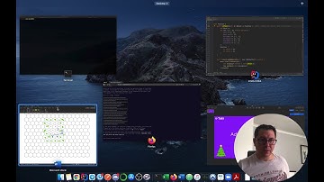 Advent of Code 2020 in Rust - Day 24