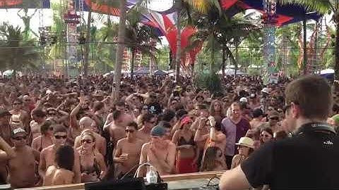 Logic Bomb - Teaser - Sampel - The Fiddler - NEW Album