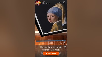 Augmented Reality Art - Masterpieces Experienced on Any Wall via Hoverlay
