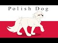 [Country Dogs] Polish Dog | Meme