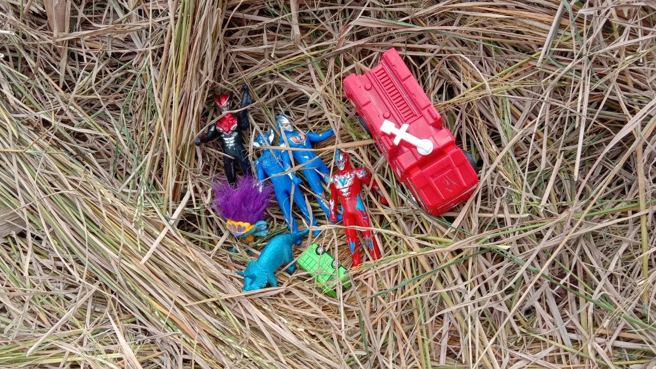 Mencari dan menemukan mainan  Ultraman di Tumpukan  jerami 