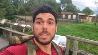 My Barefoot Zoo Marathon (Chester Zoo)