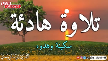 تلاوة رائعة وهادئة لسورة لسورة يس  بصوت القارئ زيد الزبيدي