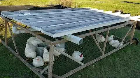 Chicken tractor tour