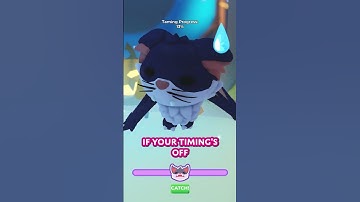 Everything you need to know about the FREE Kitty Bat, and the Halloween update coming TOMORROW!  �