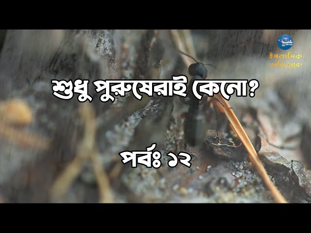 পর্বঃ ১২ । শুধু পুরুষেরাই কেনো? । ইসলামে একাধিক বিয়ে