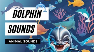 Animal Sounds: Dolphin Sounds - dolphin sounds | real 🐬🐬🐬dolphin noises Resimi