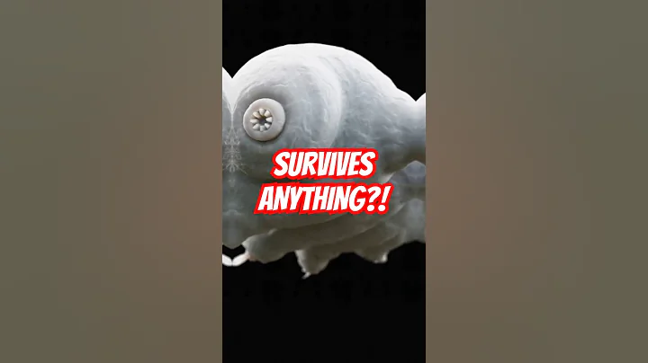 Tardigrades Survive SPACE and Microwaves?! 🛸🔥🧬