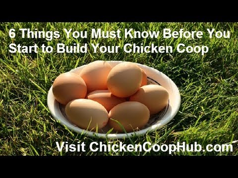 Chicken Coop Plans - 6 Critical Tips You Must Know - YouTube