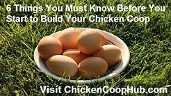Chicken Coop Plans - 6 Critical Tips You Must Know 