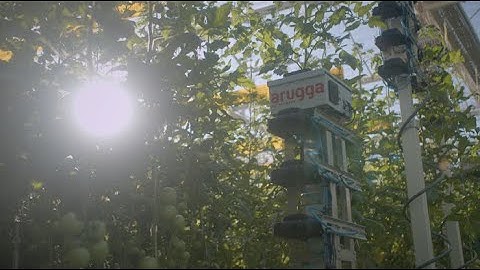 Arugga AI Farming - Autonomous Pollination Robots
